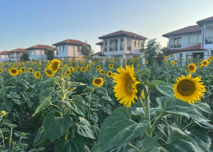 Luna * Kableshkovo (Burgas)